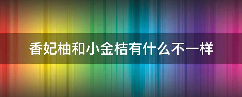 香妃柚和小金桔有什么不一样（香妃柚与小金桔的区别）