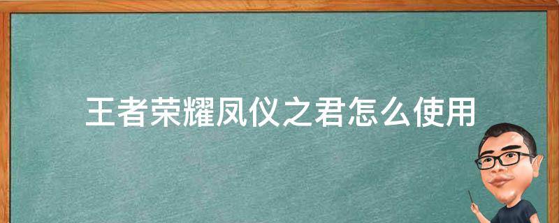 王者榮耀鳳儀之君怎么使用（王者鳳儀之君怎么弄）