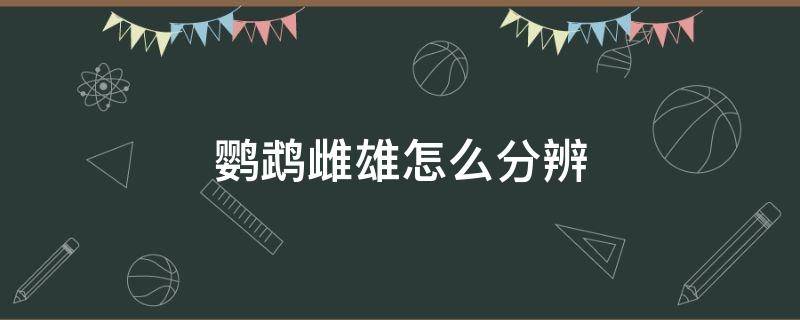 鹦鹉雌雄怎么分辨 鹦鹉雌雄怎么辨别