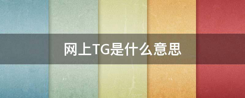 网上TG是什么意思（TG什么意思?）