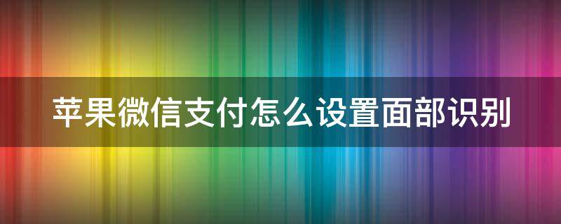 蘋果微信支付怎么設(shè)置面部識別 蘋果微信支付怎么設(shè)置面部識別功能