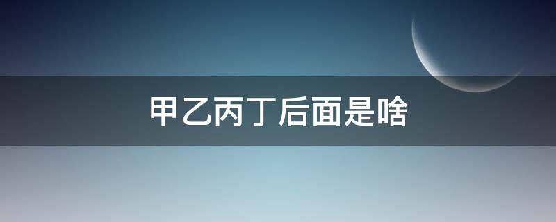 甲乙丙丁后面是啥 甲丙乙丁后面有什么