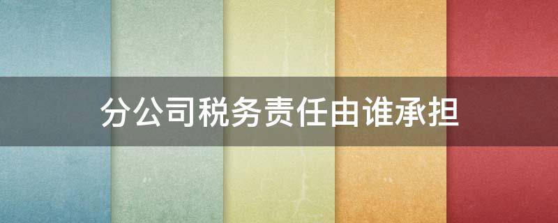 分公司稅務(wù)責(zé)任由誰承擔(dān)（分公司負責(zé)人承擔(dān)稅務(wù)罰款嗎）