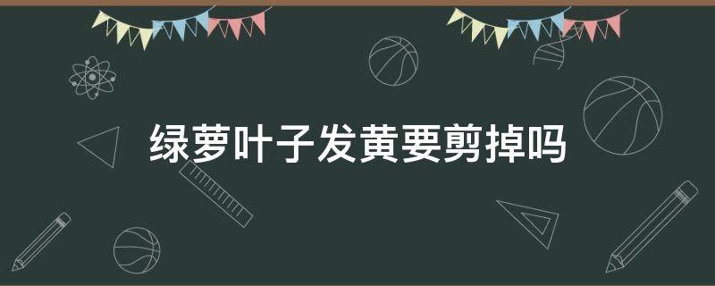 綠蘿葉子發(fā)黃要剪掉嗎 綠蘿葉子黃了剪掉黃葉還會(huì)生長起來嗎