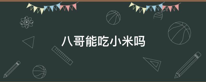 八哥能吃小米嗎 八哥喂食小米可以嗎