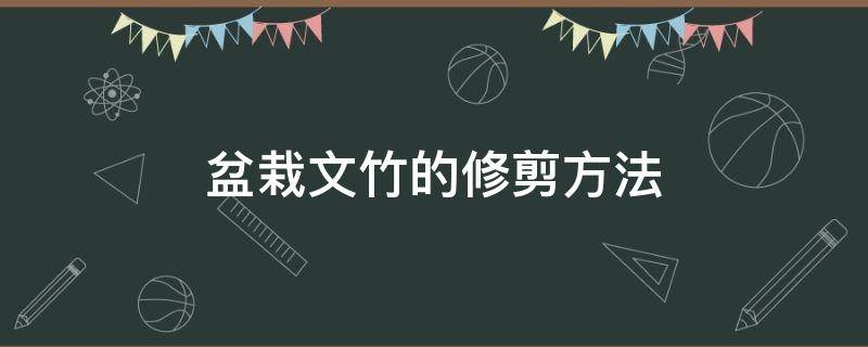 盆栽文竹的修剪方法 文竹盆景修剪技巧圖解