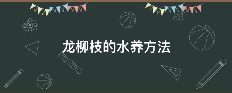 龍柳枝的水養(yǎng)方法（龍柳枝的水養(yǎng)去葉子嗎）