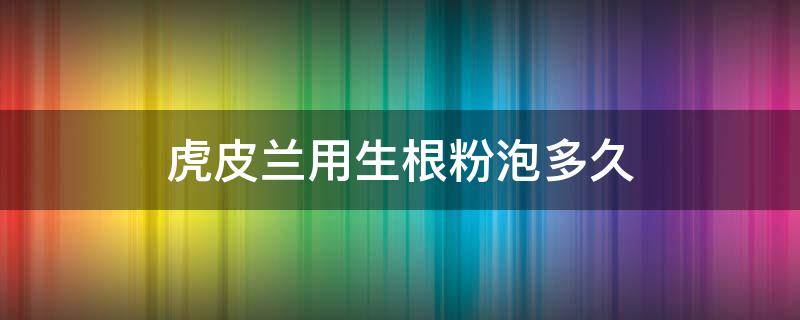 虎皮兰用生根粉泡多久（虎皮兰用生根粉泡完后需要晾晒嘛）