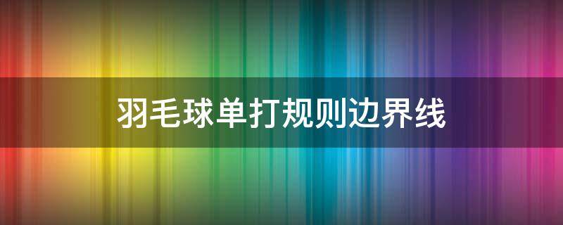 羽毛球單打規(guī)則邊界線 羽毛球單打規(guī)則邊界線圖實(shí)例