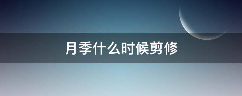 月季什么時候剪修（月季何時修剪,怎樣修剪）