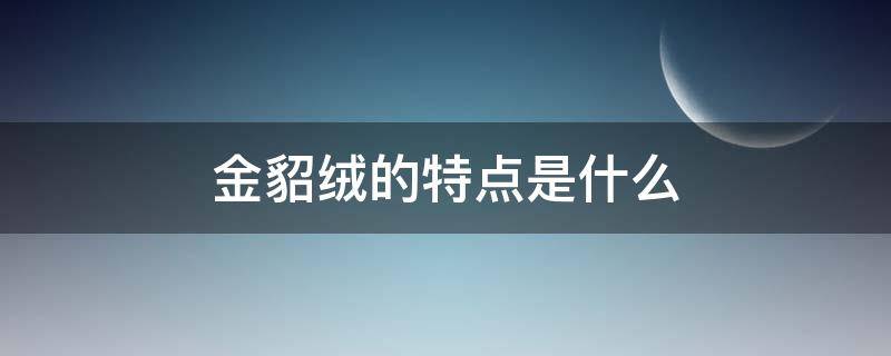 金貂绒的特点是什么 金貂绒到底是什么