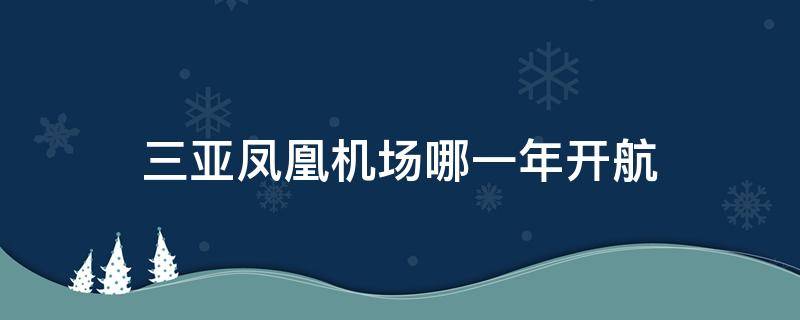 三亞鳳凰機場哪一年開航（三亞鳳凰機場）