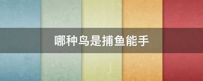 哪種鳥(niǎo)是捕魚(yú)能手 哪一種鳥(niǎo)是捕魚(yú)能手