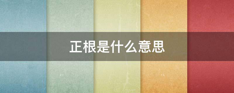 正根是什么意思（正根是什么意思(在數(shù)學(xué)中）