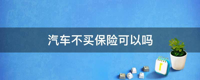 汽车不买保险可以吗（车辆保险不买可以吗）