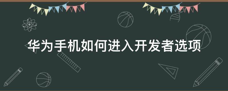 華為手機如何進入開發(fā)者選項（華為手機怎么進入開發(fā)者選項）