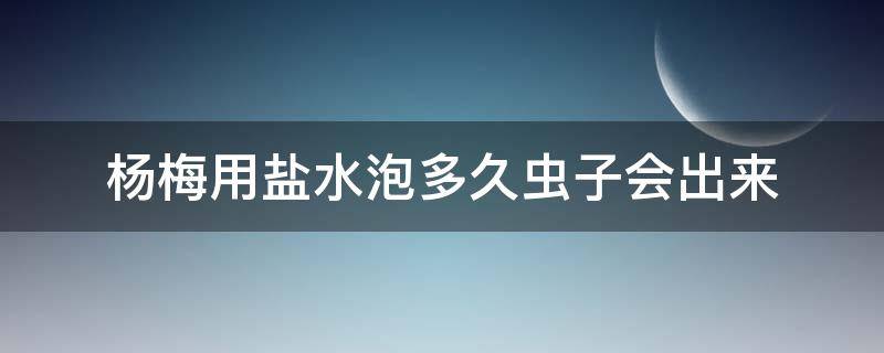 杨梅用盐水泡多久虫子会出来 杨梅用盐水泡了没有虫