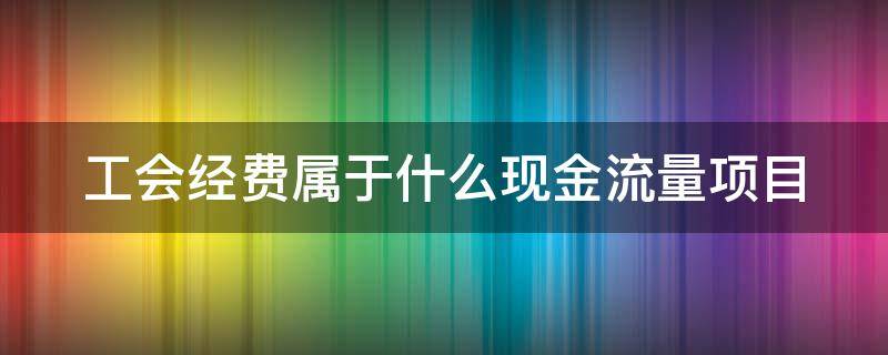 工会经费属于什么现金流量项目 工会经费计入现金流量表的哪里