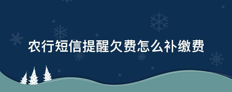 農(nóng)行短信提醒欠費(fèi)怎么補(bǔ)繳費(fèi)（農(nóng)行欠費(fèi)補(bǔ)繳可以發(fā)短信的嗎）