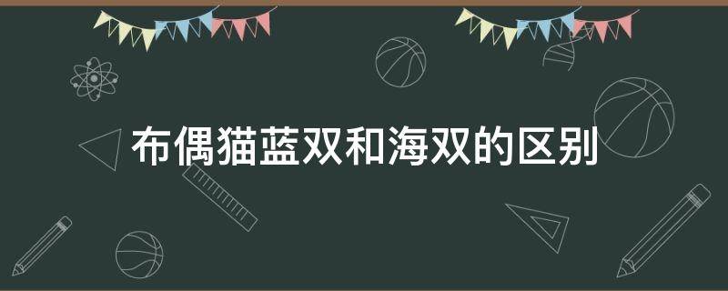 布偶貓藍(lán)雙和海雙的區(qū)別 布偶貓什么是海雙藍(lán)雙