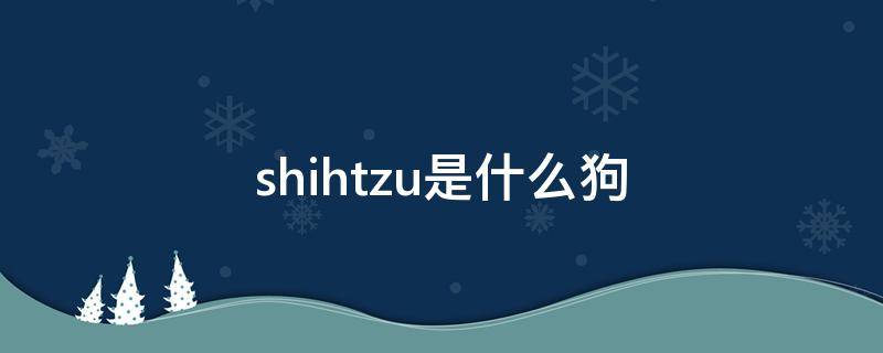 shihtzu是什么狗 shiba inu是什么狗