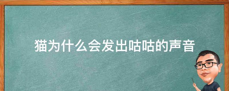 猫为什么会发出咕咕的声音（猫为什么会发出咕咕的声音然后就吐了）