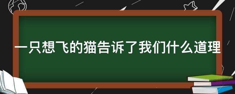 一只想飞的猫告诉了我们什么道理（一只想飞的猫告诉我们什么道理 选择题）