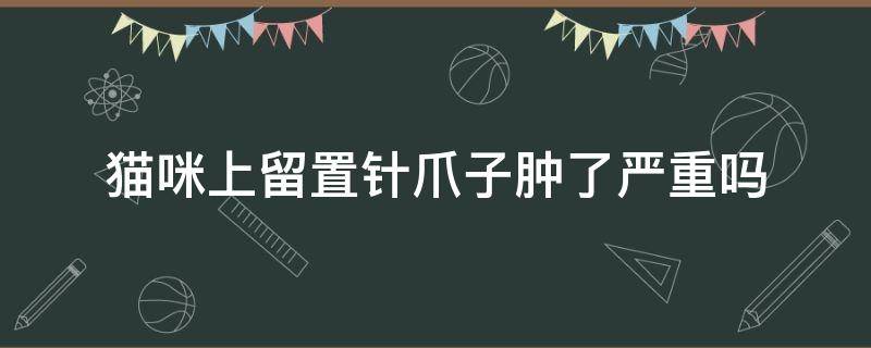 猫咪上留置针爪子肿了严重吗 猫咪上留置针爪子肿了怎么办