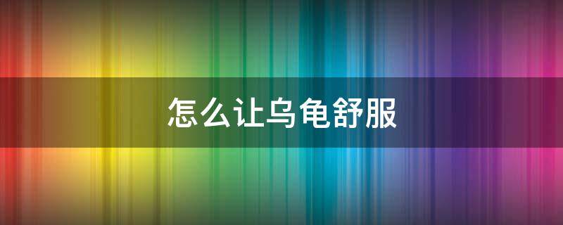 怎么讓烏龜舒服 如何讓烏龜有安全感