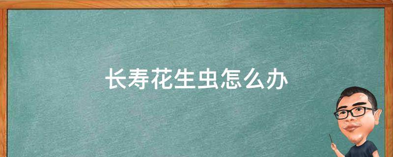 長(zhǎng)壽花生蟲怎么辦 長(zhǎng)壽花生蟲了,請(qǐng)教這是什么蟲,怎么治?