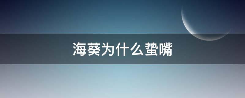 ?？麨槭裁聪U嘴 海葵為什么會(huì)蜇人