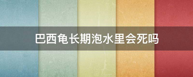 巴西龟长期泡水里会死吗 巴西龟一直泡在水里会死吗