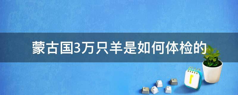 蒙古國(guó)3萬(wàn)只羊是如何體檢的（蒙古國(guó)的三萬(wàn)只羊到了嗎）