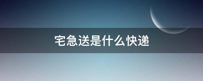 宅急送是什么快遞（宅急送是什么快遞,快嗎）