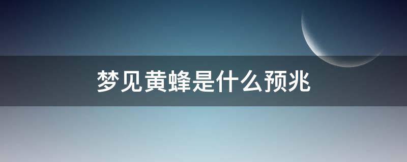 梦见黄蜂是什么预兆 梦见黄蜂什么征兆