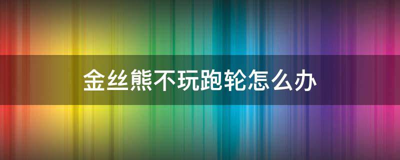 金丝熊不玩跑轮怎么办（金丝熊不会玩跑轮怎么办?）