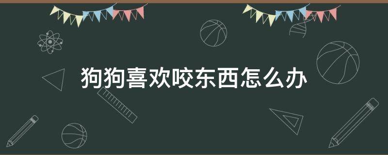 狗狗喜欢咬东西怎么办 狗狗喜欢咬东西怎么办?