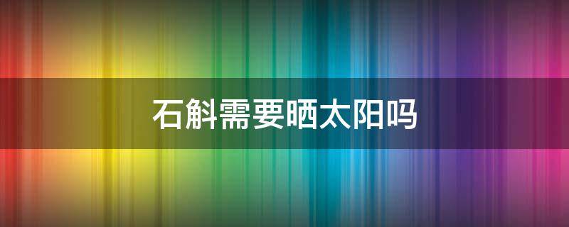 石斛需要曬太陽嗎（石斛需不需要曬太陽）