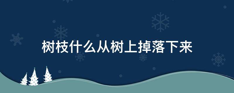 树枝什么从树上掉落下来 树枝什么从树上掉落下来填动词