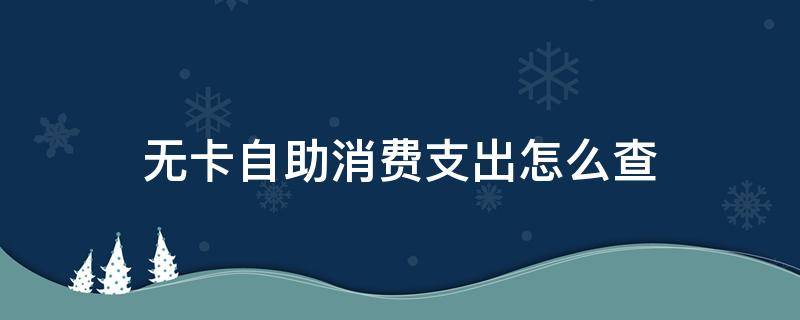 無卡自助消費支出怎么查（無卡自助消費支出怎么查詢明細(xì)）