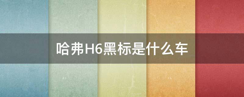 哈弗H6黑标是什么车 哈弗h6有黑标吗