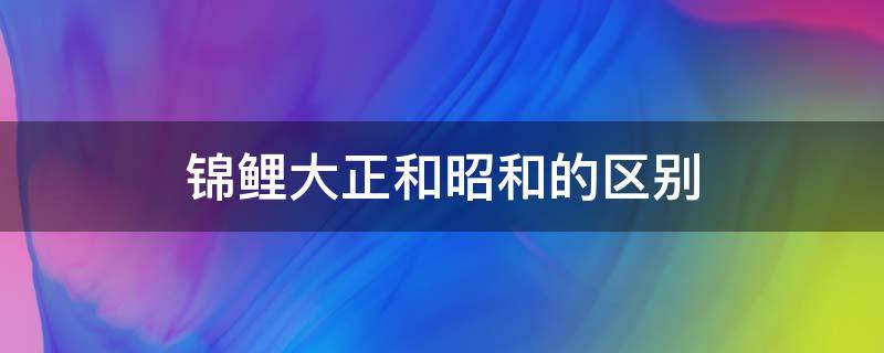 锦鲤大正和昭和的区别（昭和锦鲤什么样）