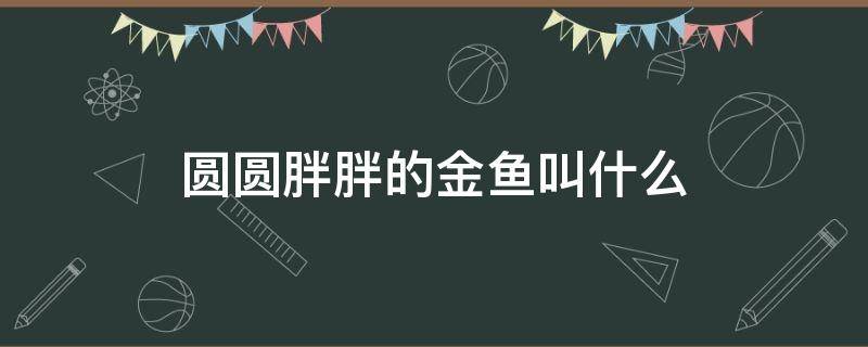 圓圓胖胖的金魚叫什么（圓嘟嘟的金魚叫什么）