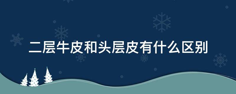 二層牛皮和頭層皮有什么區(qū)別 牛皮頭層皮和二層皮有什么區(qū)別