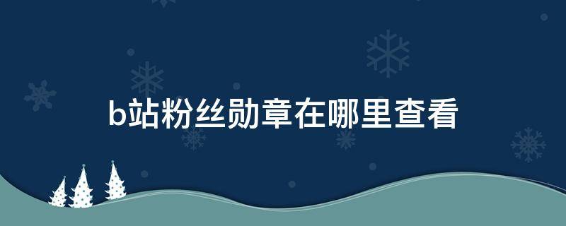 b站粉丝勋章在哪里查看 b站粉丝勋章怎么查看