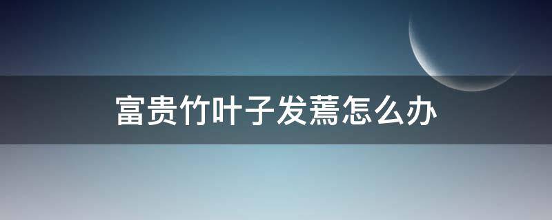 富贵竹叶子发蔫怎么办 富贵竹的叶子蔫了怎么回事啊