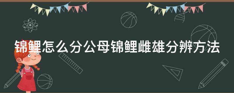 錦鯉怎么分公母錦鯉雌雄分辨方法 錦鯉怎么分辨雌雄視頻