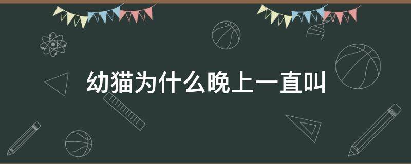 幼貓為什么晚上一直叫 幼貓晚上一直叫是什么原因