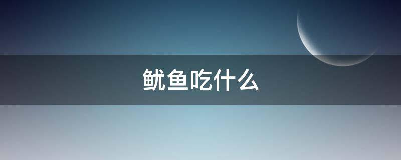 魷魚吃什么 發(fā)光魷魚吃什么