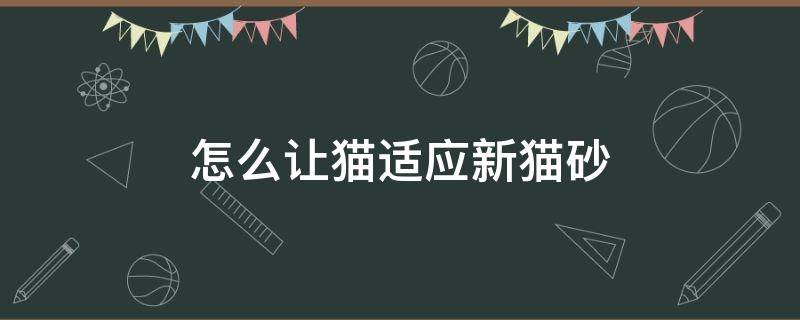 怎么讓貓適應(yīng)新貓砂 怎樣讓貓適應(yīng)新貓砂